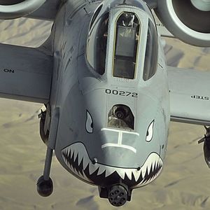 Meet your Posher, Jake